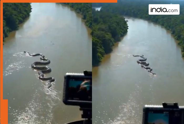 VIRAL video: Massive Anaconda seen gliding through water in the heart of Amazon rainforest; Viral clip will leave you stunned